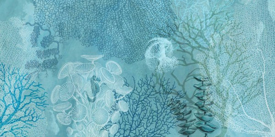 PHOTOWALL / Acqua di Mare Azzurra (e310347)