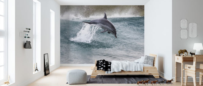 PHOTOWALL / Indo-Pacific Bottlenose Dolphin (e310393)