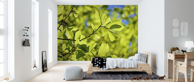 PHOTOWALL / Oak Wood Leaves (e310625)