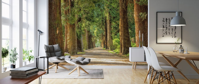 PHOTOWALL / Pathway Between Trees (e310656)