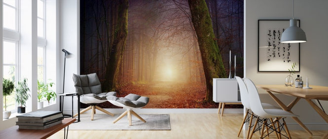 PHOTOWALL / Mystical Forest Path (e310644)