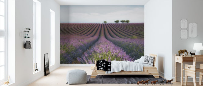 PHOTOWALL / Velours de Lavender (e310974)