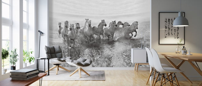 PHOTOWALL / Illusion of Power (13 horse power though) (e310978)