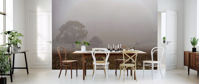 PHOTOWALL / Morning Fog (e311011)