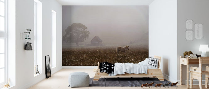 PHOTOWALL / Morning Fog (e311011)