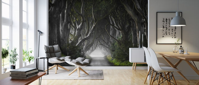 PHOTOWALL / Dark Hedges (e311028)