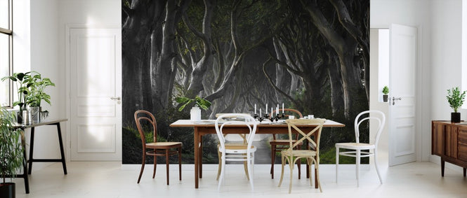 PHOTOWALL / Dark Hedges (e311028)
