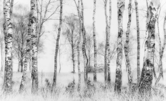 PHOTOWALL / Black and White (e311060)