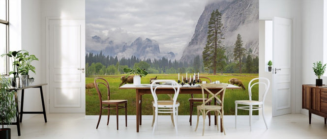 PHOTOWALL / A Feeling of Ancient Time (e311137)