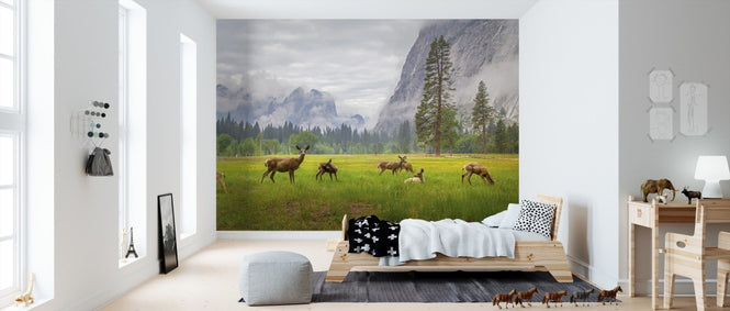 PHOTOWALL / A Feeling of Ancient Time (e311137)