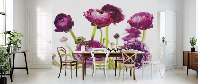PHOTOWALL / Spring Ranunculus III (e311143)