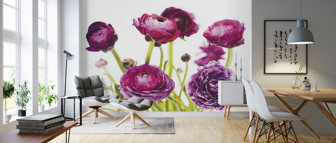 PHOTOWALL / Spring Ranunculus III (e311143)