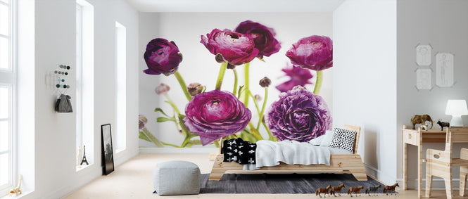 PHOTOWALL / Spring Ranunculus III (e311143)