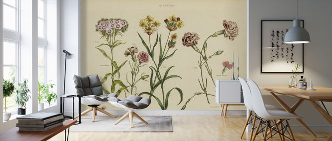 PHOTOWALL / Herbal Botanical VIII (e311181)