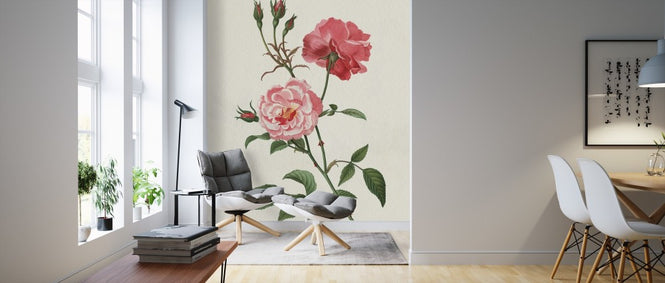 PHOTOWALL / Rosa (e311218)