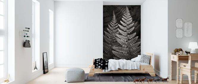PHOTOWALL / Lady Fern I (e311259)