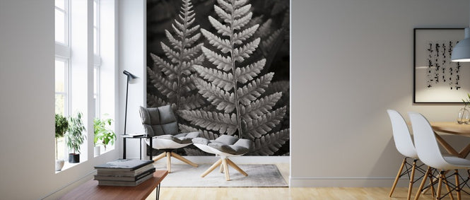 PHOTOWALL / Lady Fern I (e311259)