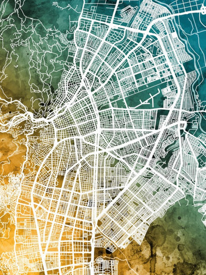 PHOTOWALL / Cali Colombia City Map (e311511)