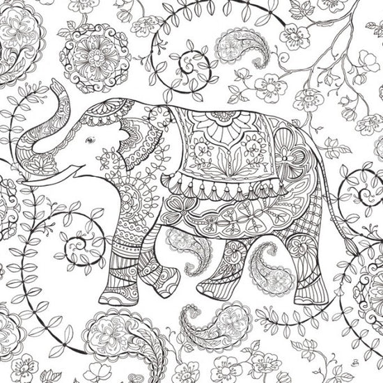 PHOTOWALL / Color My World Elephant (e312228)