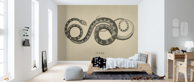 PHOTOWALL / Vintage Viper (e312300)