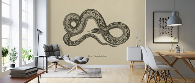 PHOTOWALL / Vintage Boa Constrictor (e312305)