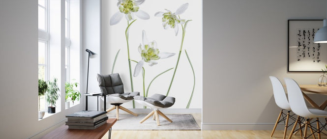 PHOTOWALL / Galanthus Flore Pleno (e312825)