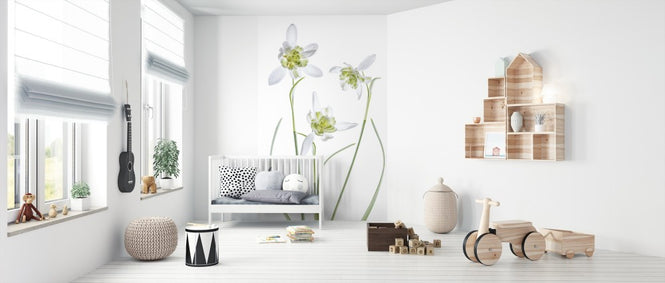 PHOTOWALL / Galanthus Flore Pleno (e312825)