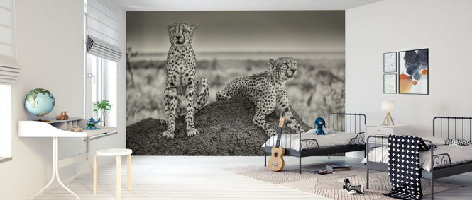 PHOTOWALL / Two Cheetahs Watching Out (e312828)