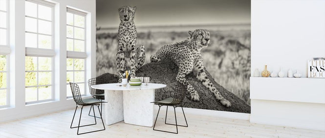 PHOTOWALL / Two Cheetahs Watching Out (e312828)