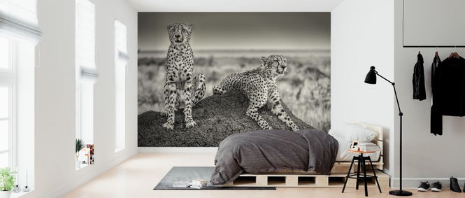 PHOTOWALL / Two Cheetahs Watching Out (e312828)