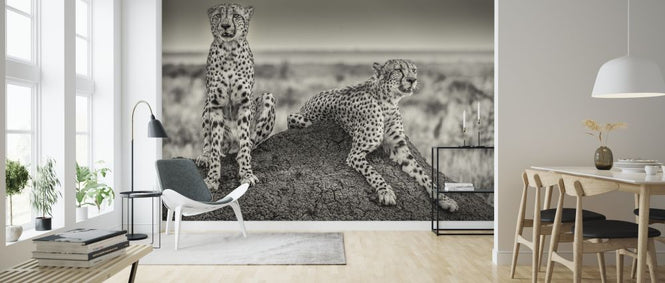 PHOTOWALL / Two Cheetahs Watching Out (e312828)