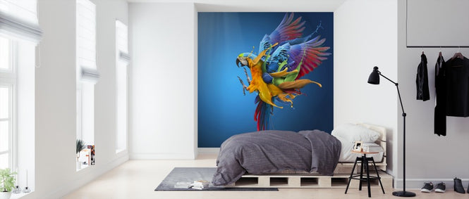 PHOTOWALL / Flying Colours (e312839)
