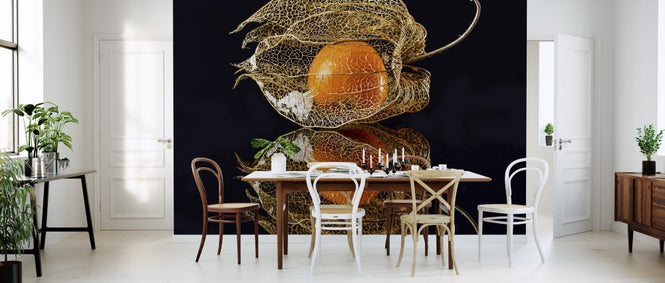 PHOTOWALL / Physalis (e312867)