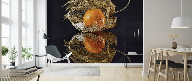 PHOTOWALL / Physalis (e312867)