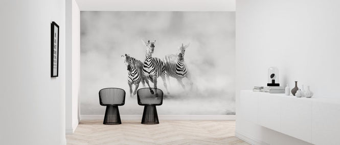 PHOTOWALL / Zebras (e312914)