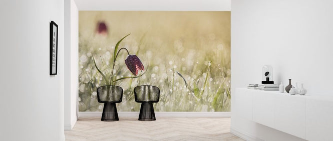 PHOTOWALL / Morning Dew (e312950)