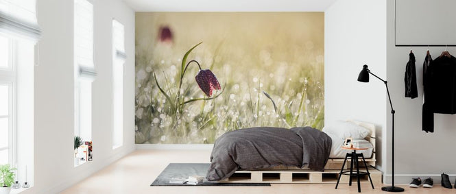 PHOTOWALL / Morning Dew (e312950)