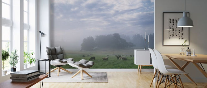 PHOTOWALL / Sheep on Pasture Field in Morning Fog (e313059)