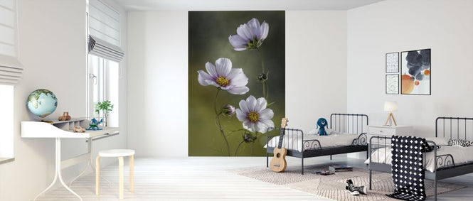 PHOTOWALL / Cosmos (e313002)