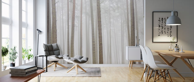 PHOTOWALL / Misty Trees (e313204)