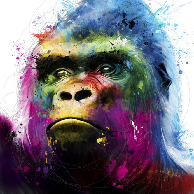 PHOTOWALL / Gorilla (e313187)