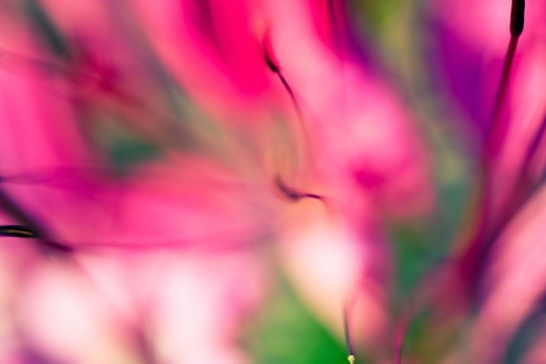 Zoom