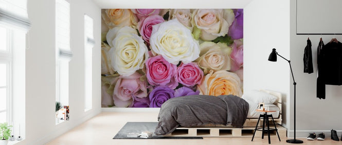 PHOTOWALL / Colorful Roses (e313224)