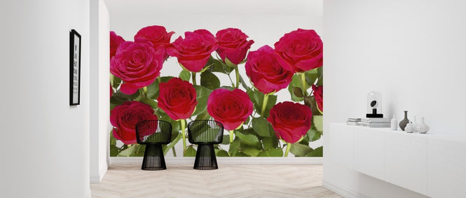 PHOTOWALL / Red Roses (e313228)