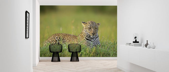 PHOTOWALL / Leopard (e313122)