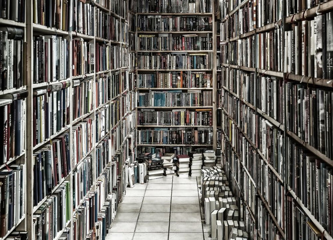 PHOTOWALL / Reading Stuff (e313142)