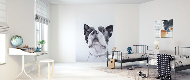 PHOTOWALL / Bird Watching (e313308)