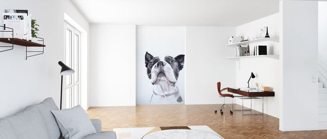 PHOTOWALL / Bird Watching (e313308)