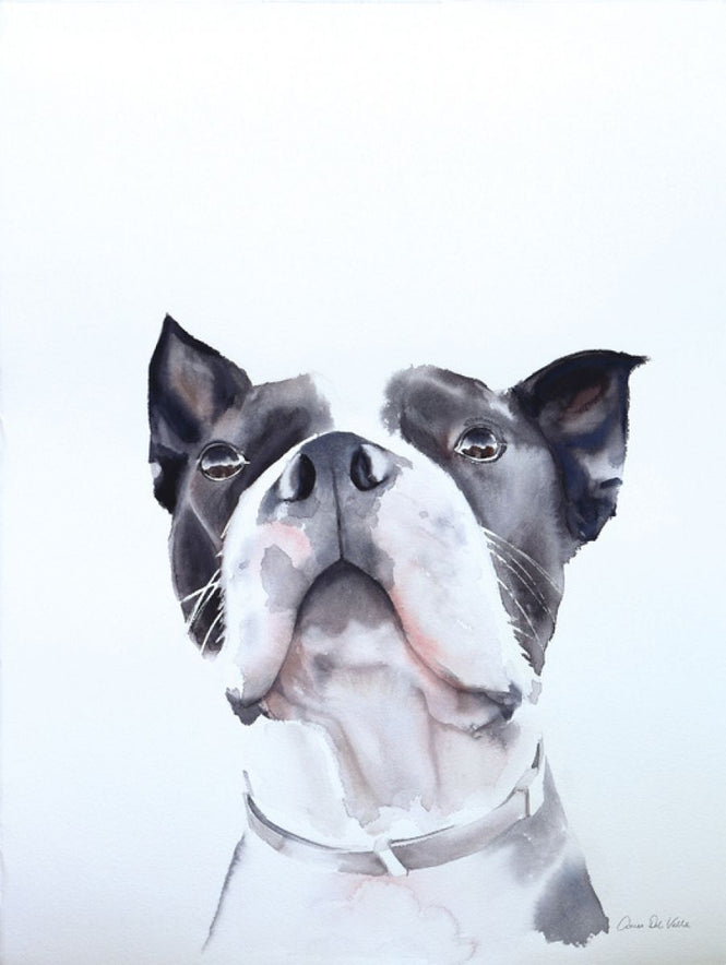 PHOTOWALL / Bird Watching (e313308)