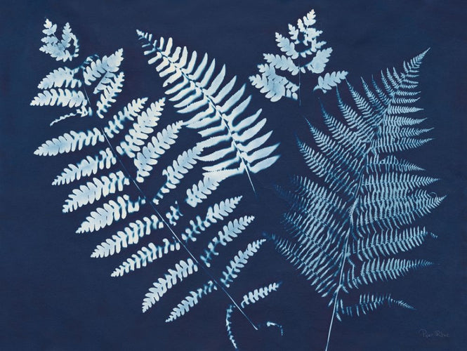 PHOTOWALL / Nature by the Lake - Ferns II (e313326)